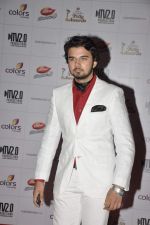 at Indian Telly Awards in Mumbai on 4th May 2013 (147).JPG